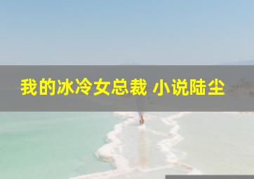 我的冰冷女总裁 小说陆尘